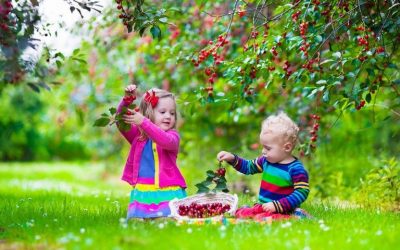 L&rsquo;énergie du moment présent
