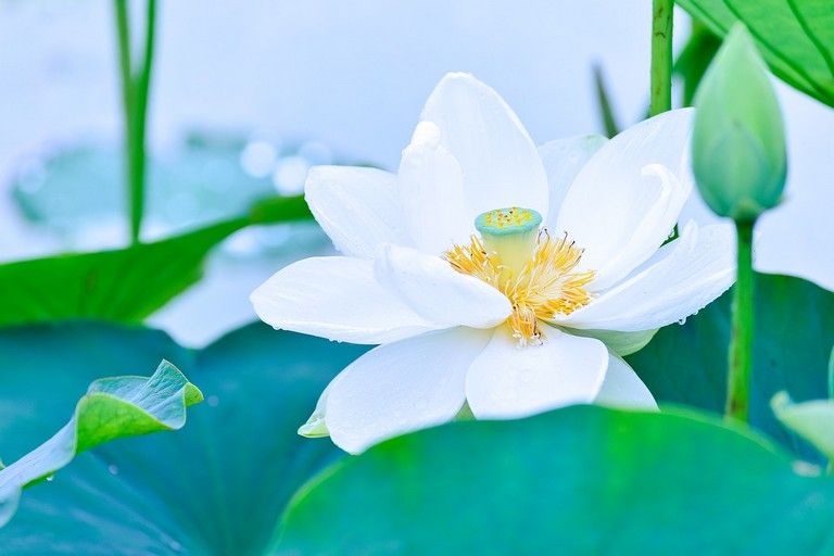 La spiritualité une aubaine pour la médiumnité