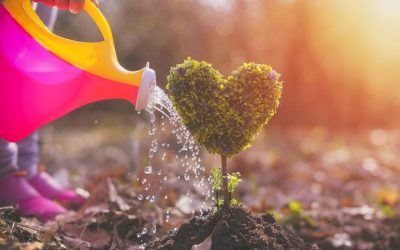 Cinq valeurs humaines fondamentales