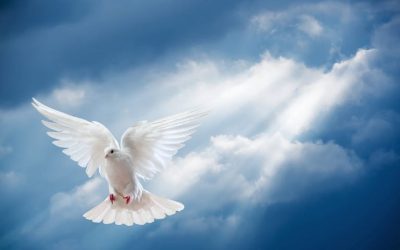 Les coïncidences, quel rôle jouent-elles ?