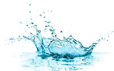 L&rsquo;eau de Quinton des bienfaits à redécouvrir