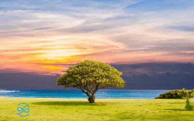 Savourez l&rsquo;instant présent
