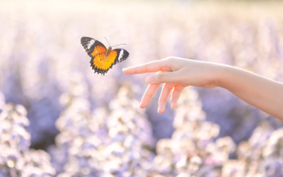 La mort, ce passage à réinventer